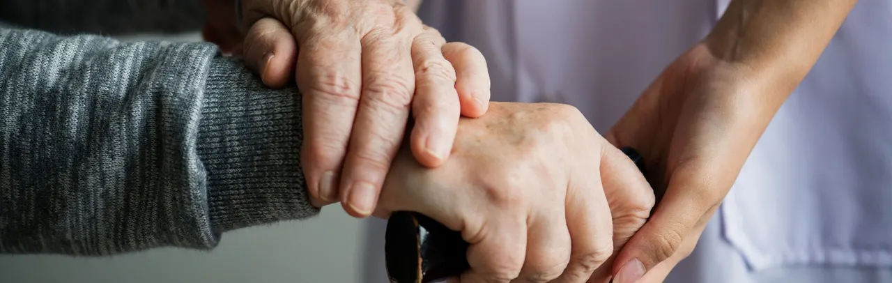 Care services background